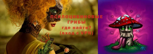 стафф Магас
