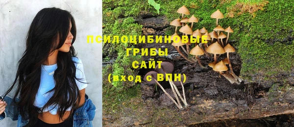 стафф Магас