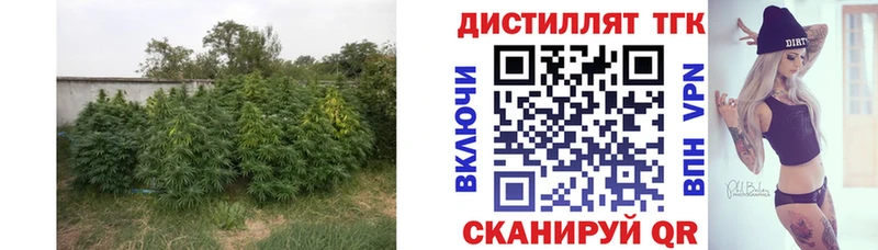 купить наркоту Дубовка ТГК вейп