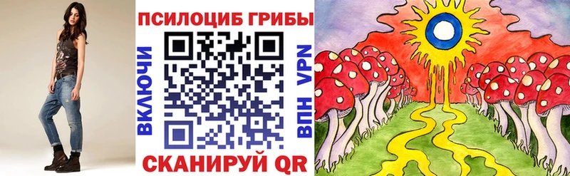 Псилоцибиновые грибы ЛСД Дубовка